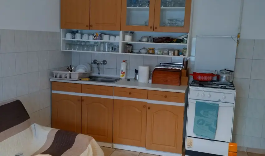 Rzsi Vendghz Mihlyhza - Augusztus 20. (min. 2 j)