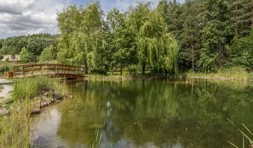 Hunguest Saliris Egerszal�k - Augusztus 20. (min. 2 �j)