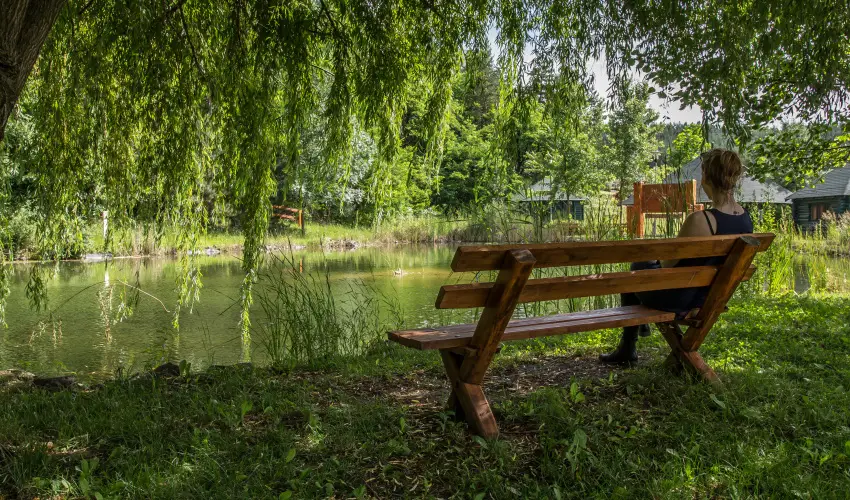 Hunguest Saliris Egerszal�k - Augusztus 20. (min. 2 �j)