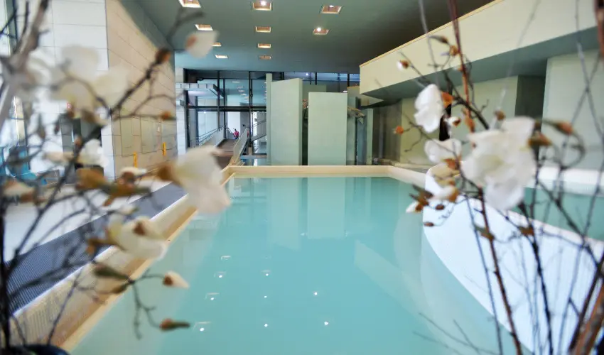 Hunguest Saliris Egerszal�k - Augusztus 20. (min. 2 �j)