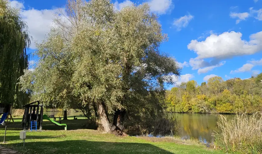 S�ri Udvar Dunakiliti - Augusztus 20.