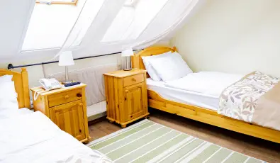 Sasrti Vadszkastly Almamellk