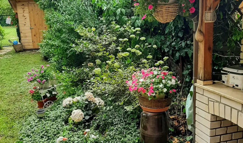 Siesta Vend�gh�z Eger - Augusztus 20. (min. 3 �j)