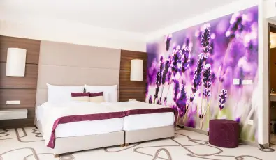 Ambient Hotel & ThermalSPA**** Sikonda