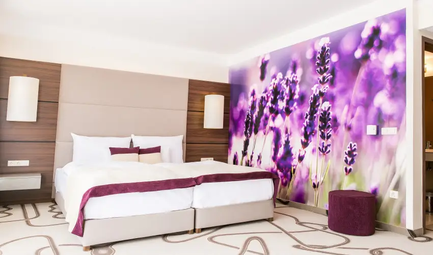 Ambient Hotel & ThermalSPA**** Sikonda - Augusztus 20.