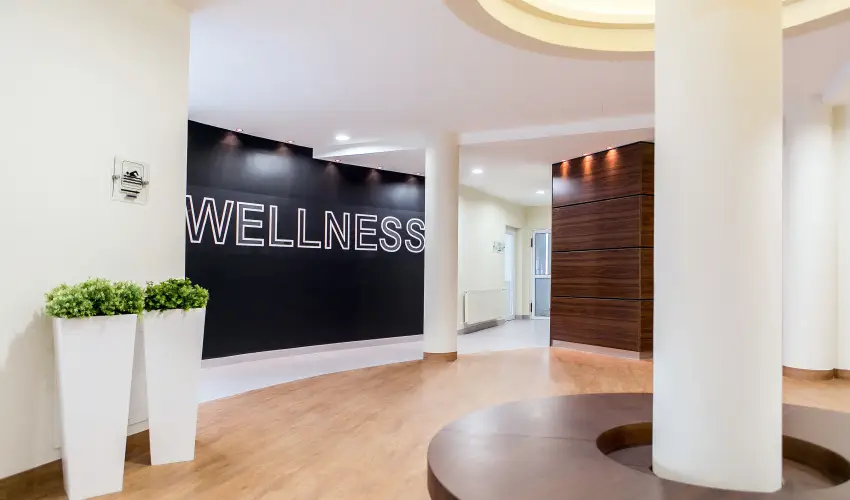 Ambient Hotel & ThermalSPA**** Sikonda - Augusztus 20.