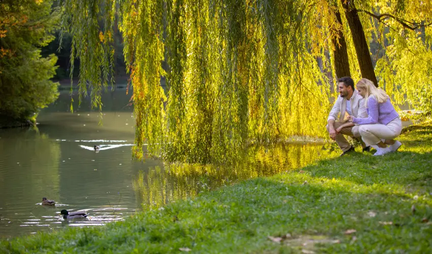 Ambient Hotel & ThermalSPA**** Sikonda - Augusztus 20.