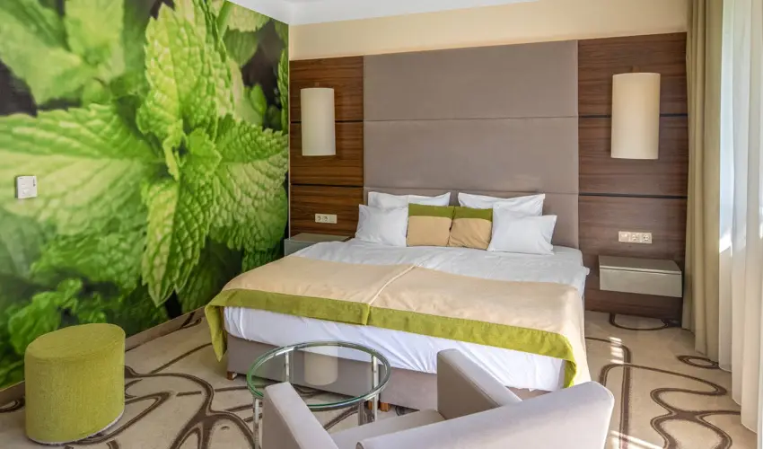 Ambient Hotel & ThermalSPA**** Sikonda - Augusztus 20.