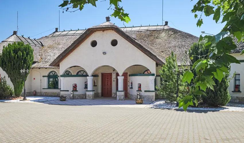 Silver Major Kaba - Augusztus 20. - teljes el�refizet�ssel