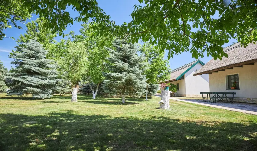 Silver Major Kaba - Augusztus 20. - teljes el�refizet�ssel