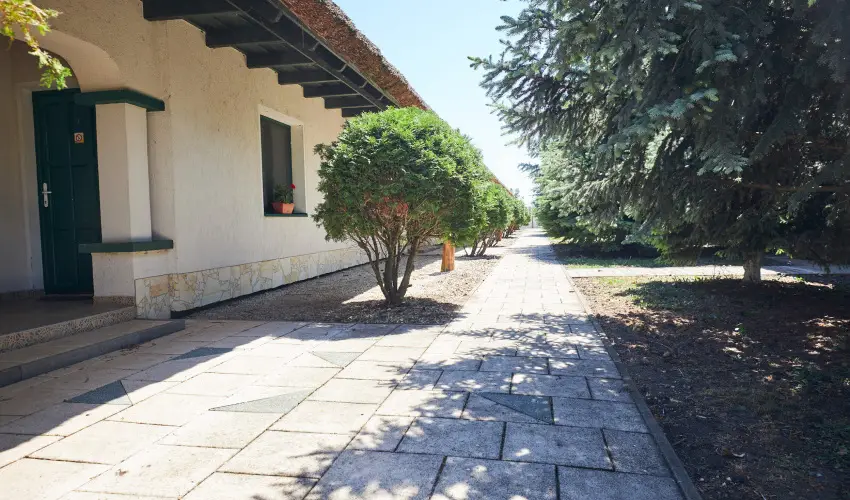 Silver Major Kaba - Augusztus 20. - teljes el�refizet�ssel