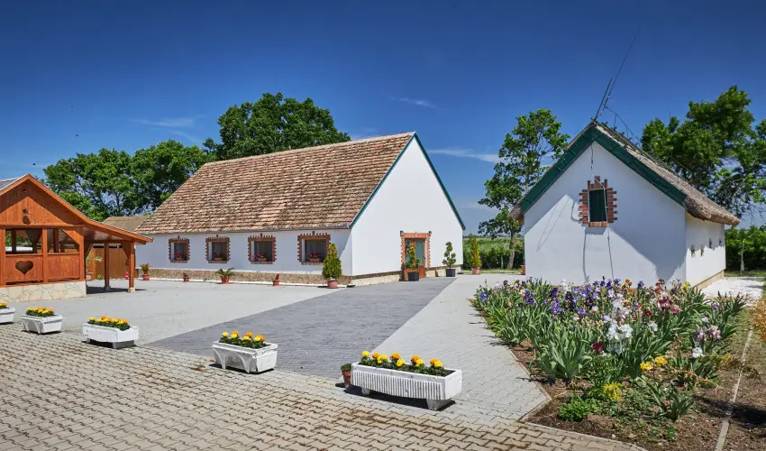 Silver Major Kaba - Augusztus 20. - teljes el�refizet�ssel