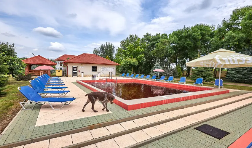 Silver Major Kaba - Augusztus 20. - teljes el�refizet�ssel