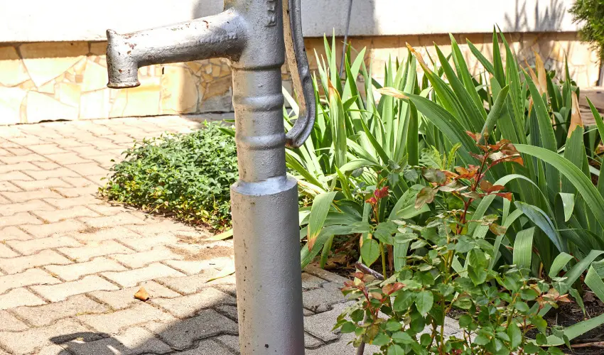 Silver Major Kaba - Augusztus 20. - teljes el�refizet�ssel