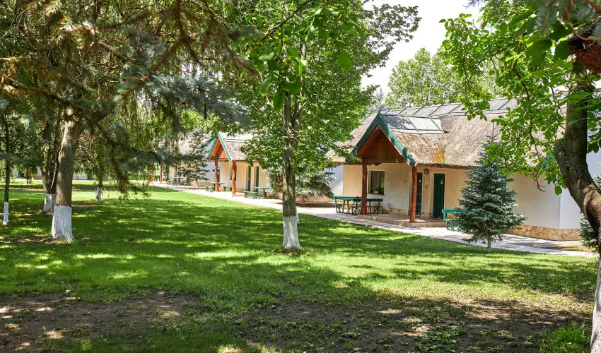 Silver Major Kaba - Augusztus 20. - teljes el�refizet�ssel