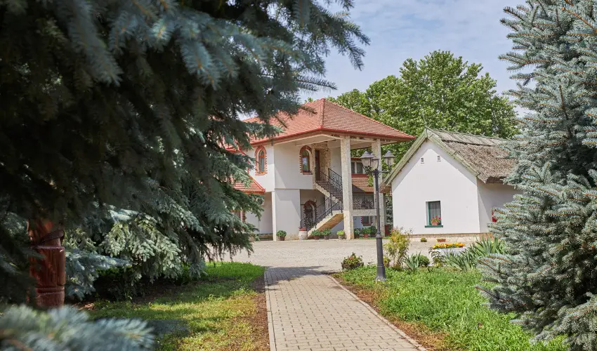 Silver Major Kaba - Augusztus 20. - teljes el�refizet�ssel