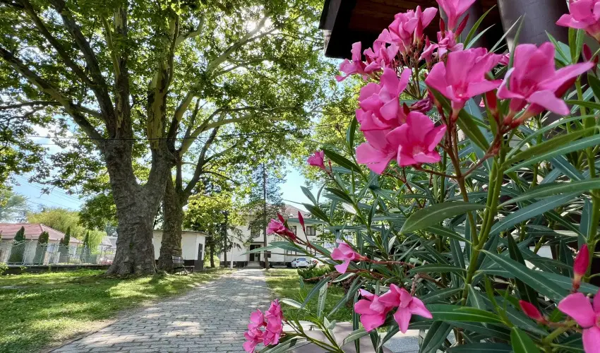 Sir�ly Hotel Balatonlelle - Augusztus 20. (min. 6 �j)