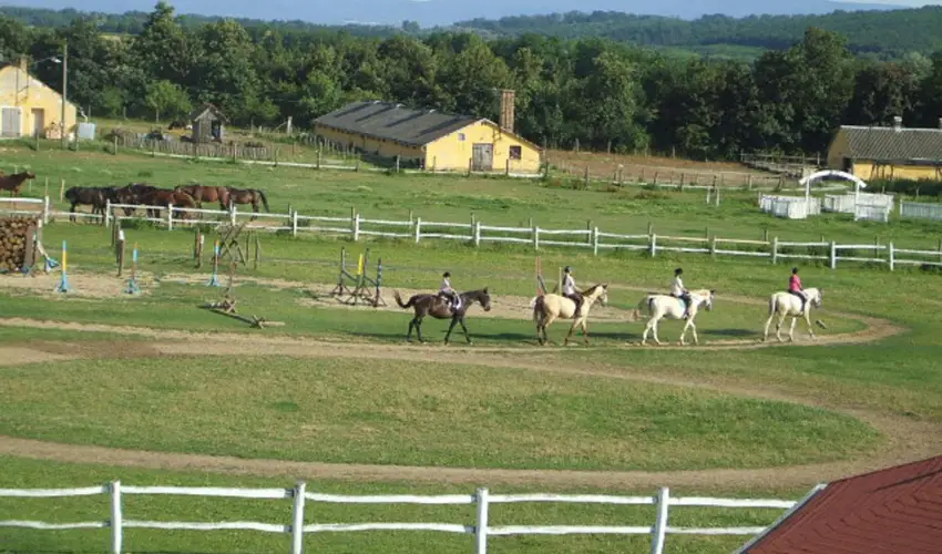 Sokor Fogad Sokorptka - Augusztus 20.