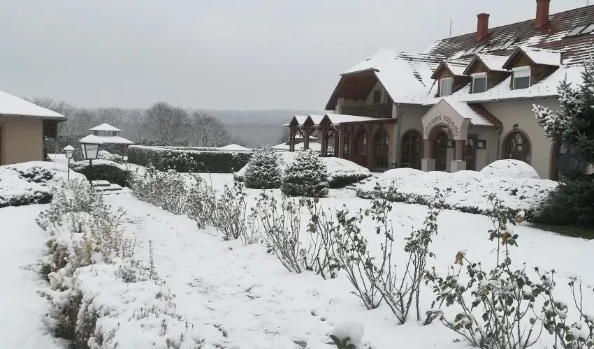 Sokor Fogad Sokorptka - Augusztus 20.