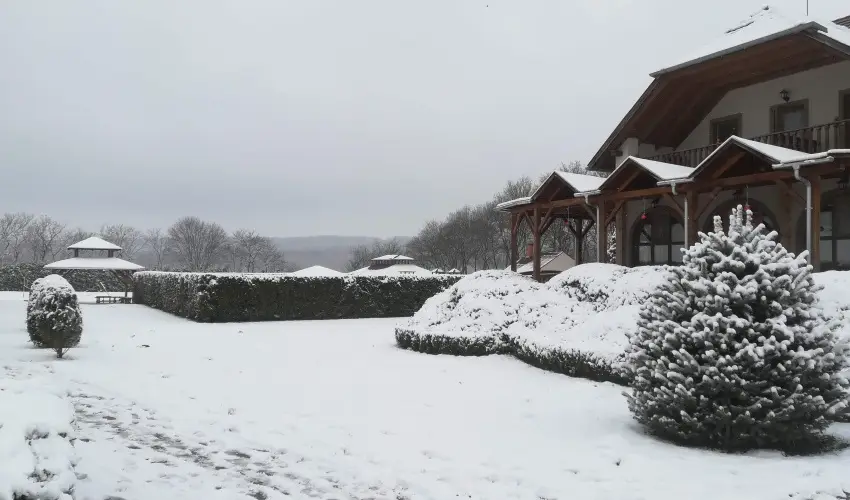 Sokor Fogad Sokorptka - Augusztus 20.