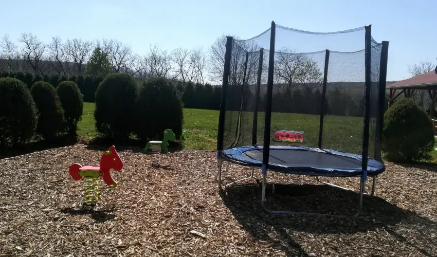 Sokor Fogad Sokorptka - Augusztus 20.