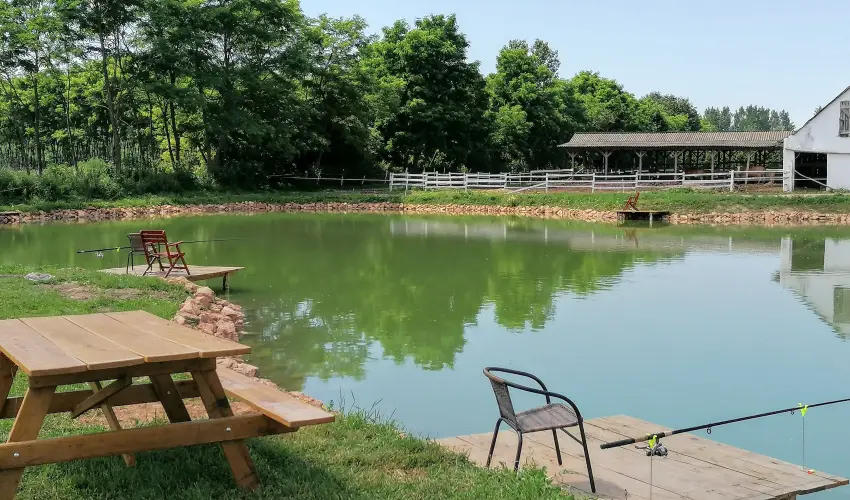 Sokor Fogad Sokorptka - Augusztus 20.