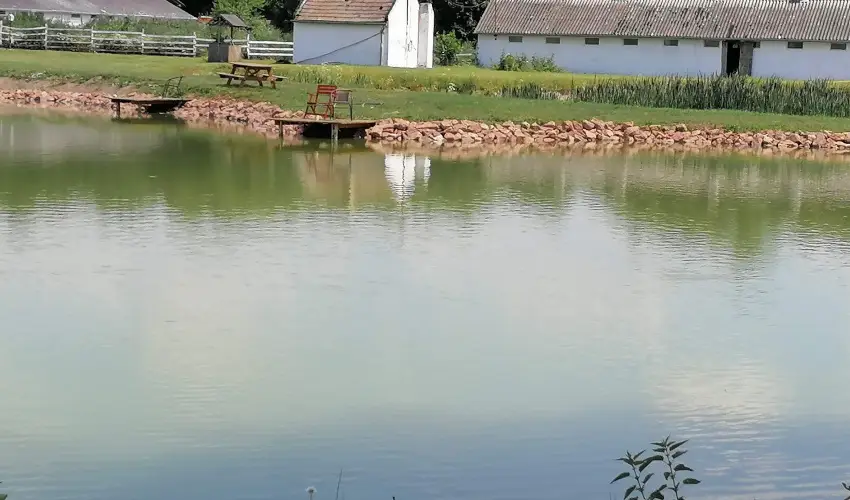 Sokor Fogad Sokorptka - Augusztus 20.