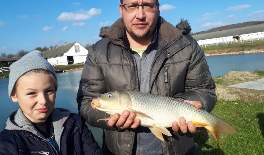 Sokor Fogad Sokorptka - Augusztus 20.