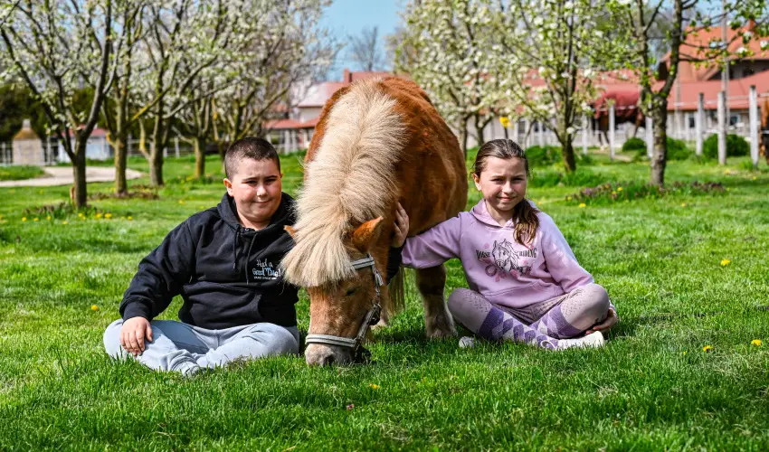 Sokor� Fogad� Sokor�p�tka - Augusztus 20.