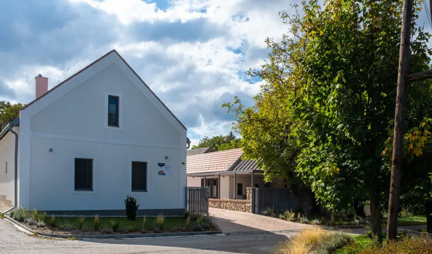 Stadium Home Panzi Barnag - Augusztus 20. (min. 2 j)