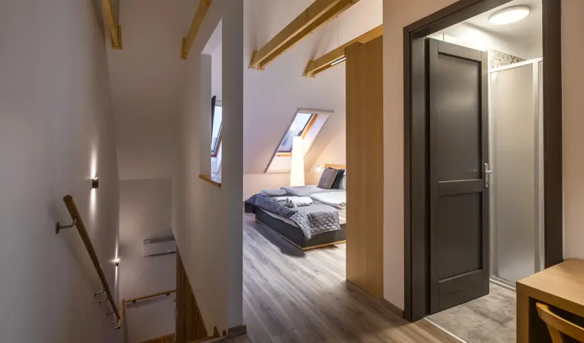 Stadium Home Panzi Barnag - Augusztus 20. (min. 2 j)