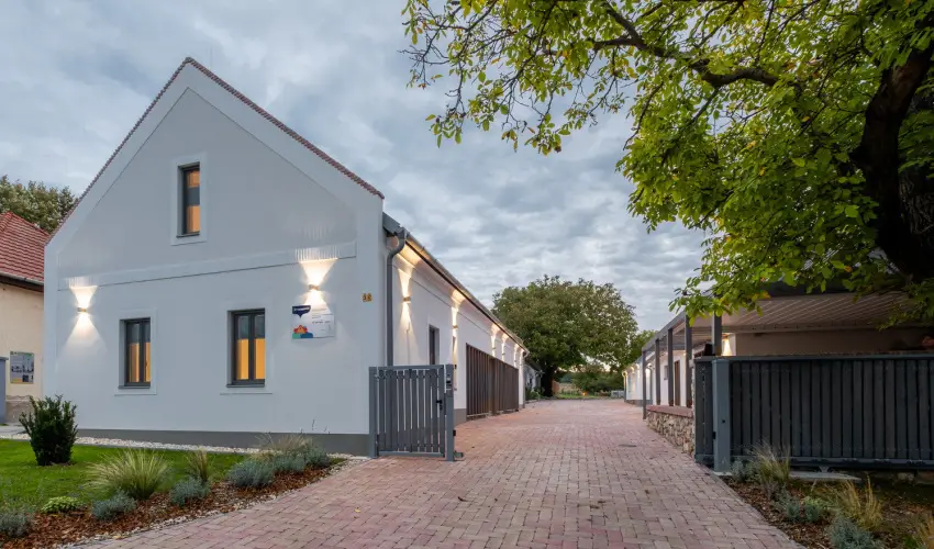 Stadium Home Panzi Barnag - Augusztus 20. (min. 2 j)