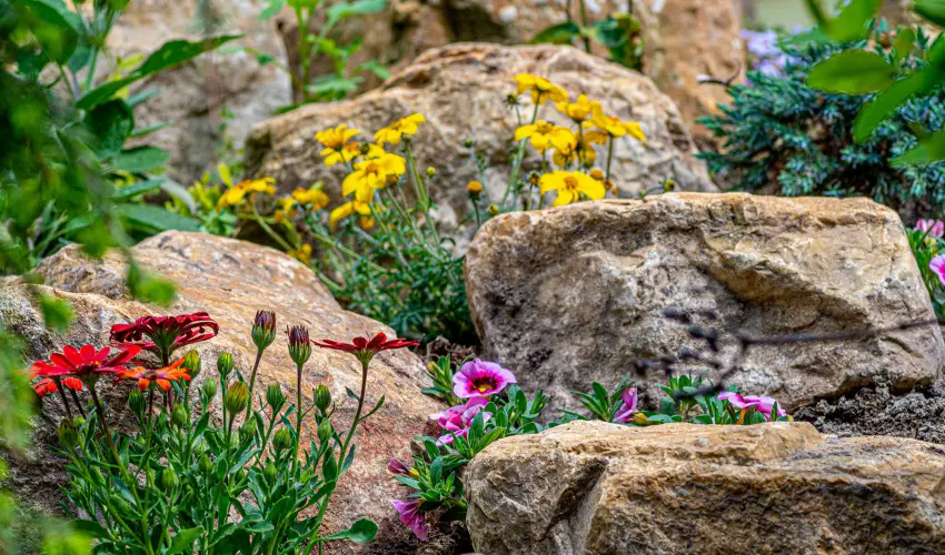 SunGarden Wellness Hotel Si�fok - Augusztus 20. (min. 3 �j)