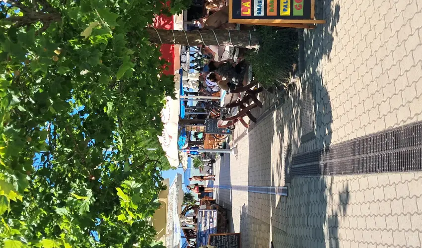 Sunshine Vendghz Balatonfenyves - Augusztus 20. (min. 5 j)