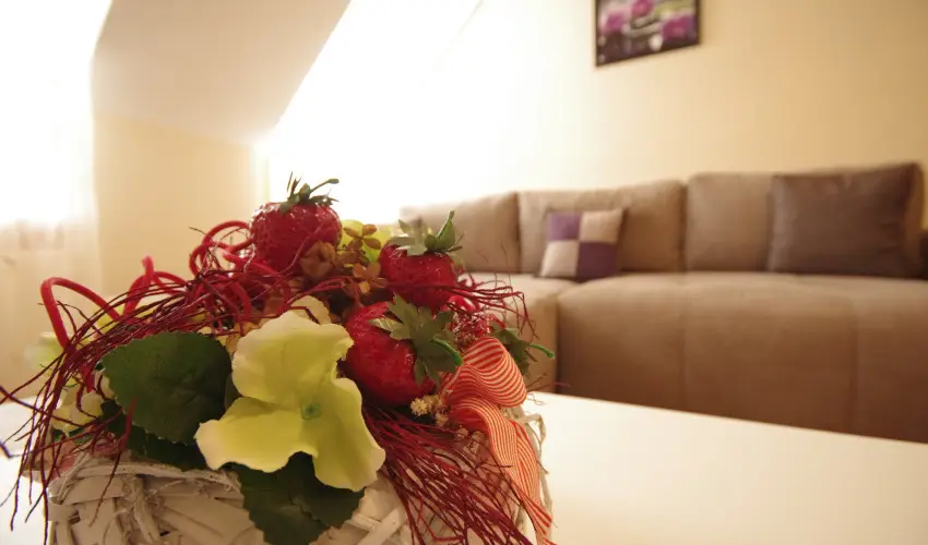 Szam�c�s Apartman Gyula - Augusztus 20. (min. 4 �j)