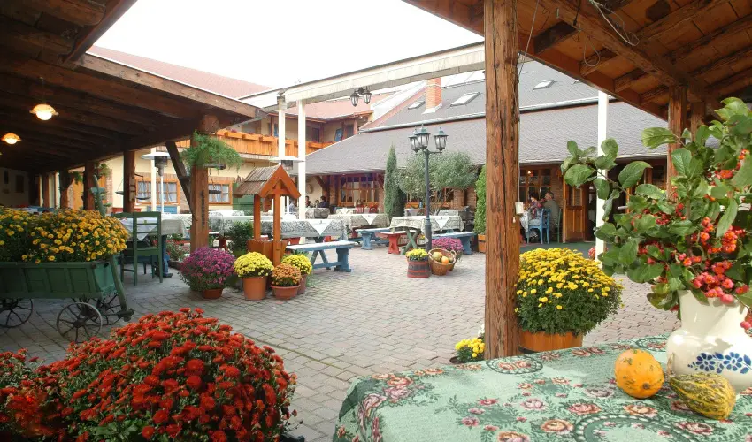 Sz�rcsa Hotel Sz�kesfeh�rv�r - Augusztus 20.