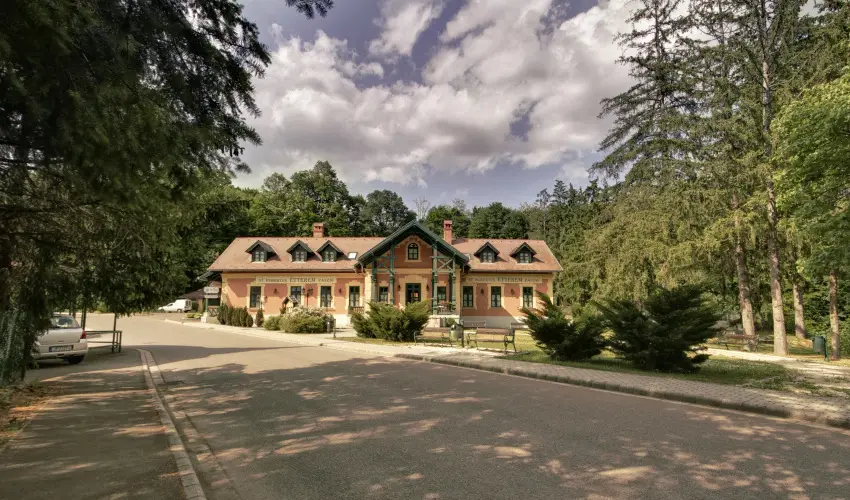 Szent Hubertus Panzi� Par�dsasv�r - Augusztus 20. (min. 2 �j)