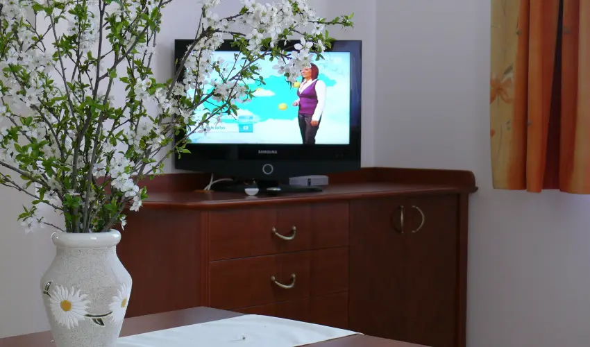 Szerencsemk Panzi Kehidakustny - Augusztus 20. (min. 2 j)