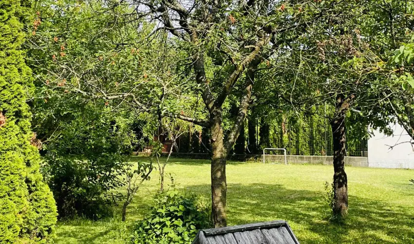 Szilv�sv�rad Camping & Apartman Szilv�sv�rad - Augusztus 20.