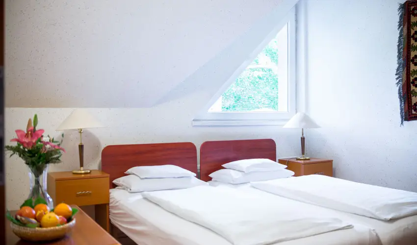 Wellness Hotel Szindb�d  Balatonszemes - Augusztus 20-i �nnepnapok (min. 2 �j)