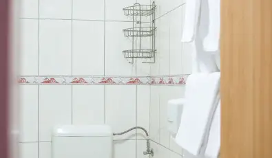 Wellness Hotel Szindb�d  Balatonszemes