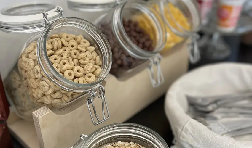 Svirg Terml Panzi Hajdnns - Augusztus 20.