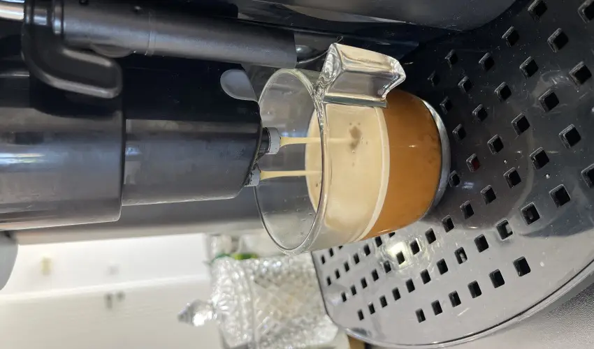 Svirg Terml Panzi Hajdnns - Augusztus 20.