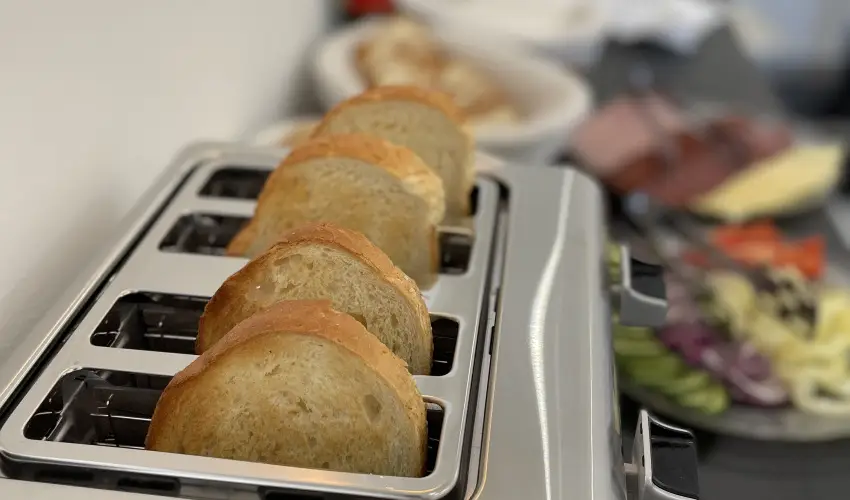 Svirg Terml Panzi Hajdnns - Augusztus 20.