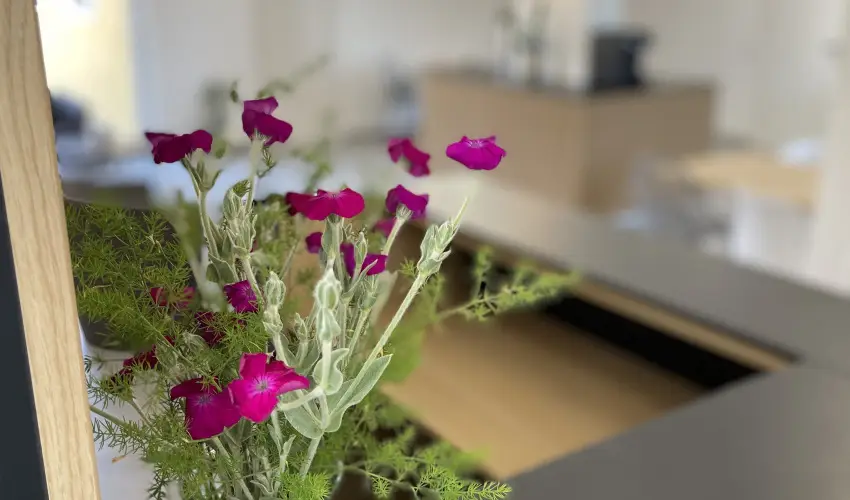 Svirg Terml Panzi Hajdnns - Augusztus 20.