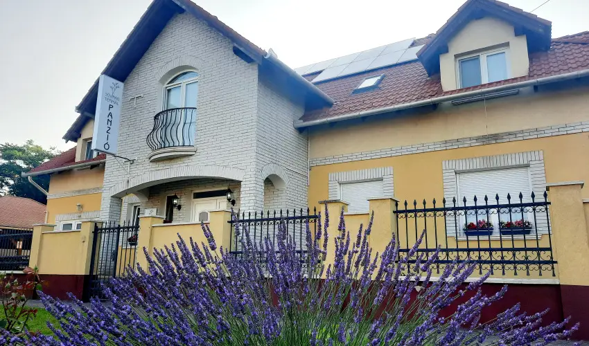 Svirg Terml Panzi Hajdnns - Augusztus 20.