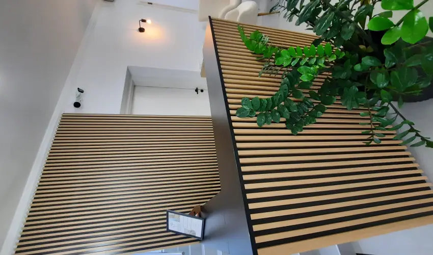 Svirg Terml Panzi Hajdnns - Augusztus 20.