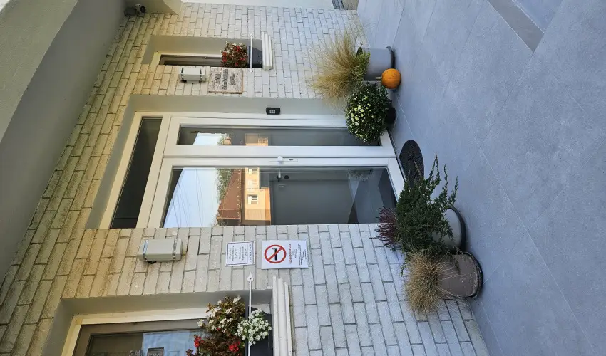 Svirg Terml Panzi Hajdnns - Augusztus 20.