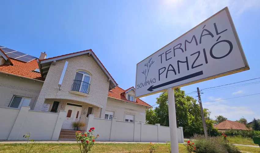 Svirg Terml Panzi Hajdnns - Augusztus 20.