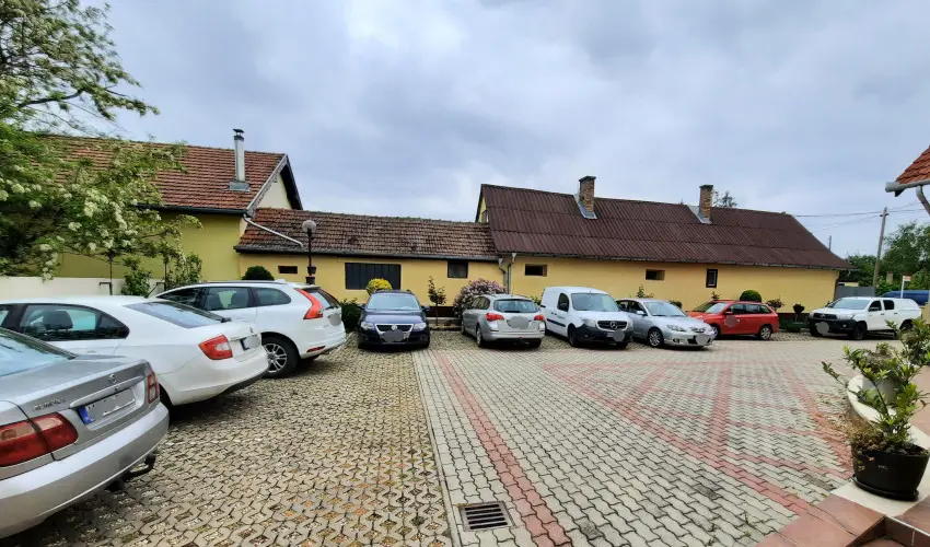 Svirg Terml Panzi Hajdnns - Augusztus 20.